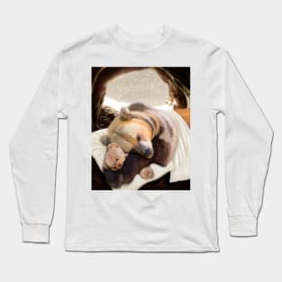 Goodnight Mr Bear Long Sleeve T-Shirt